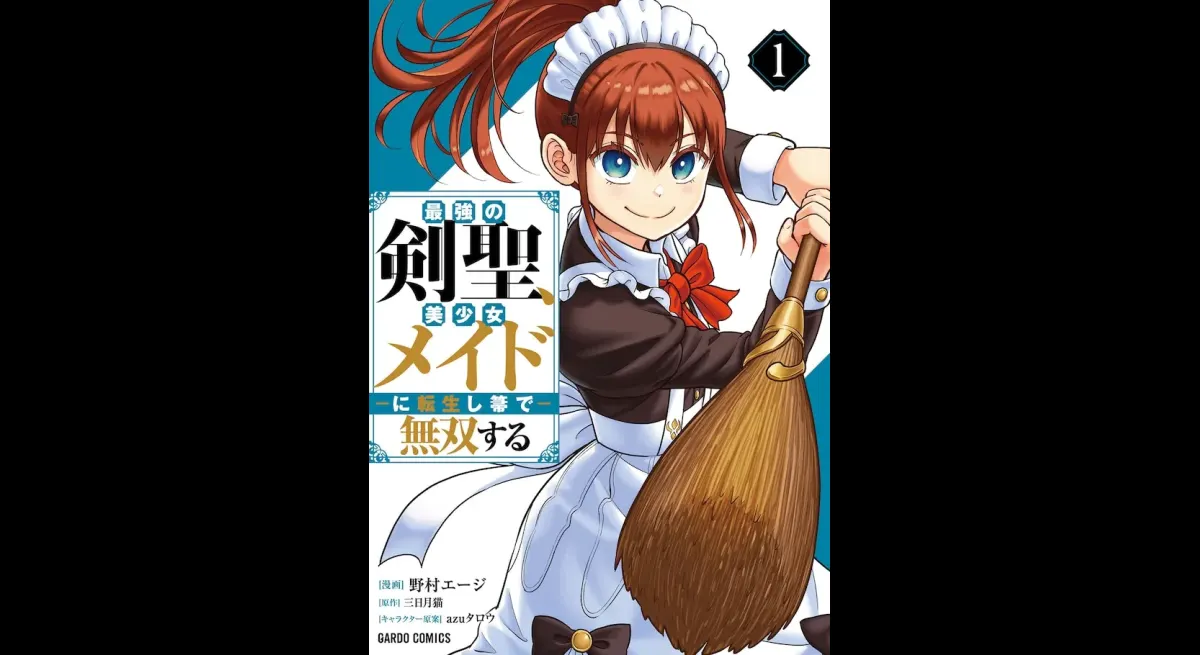 "The Swordsmans Reincarnation: Broommaid Protector"