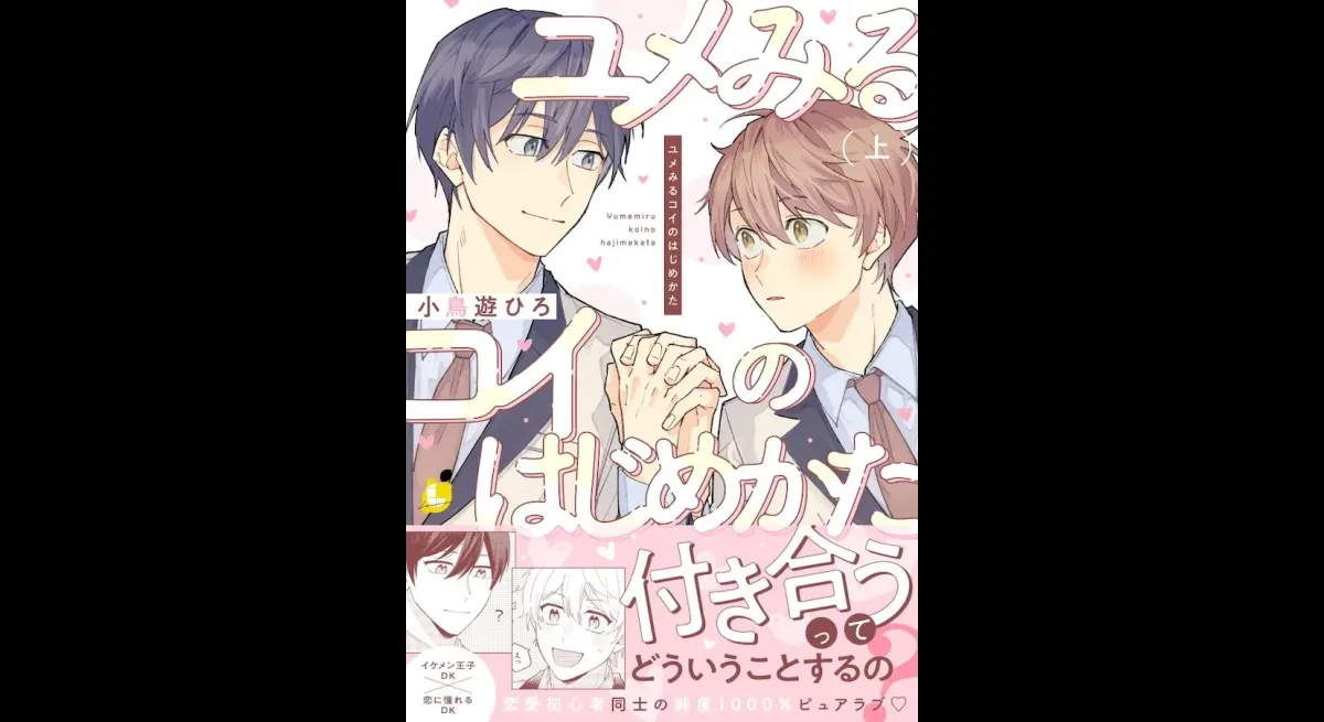 Hiro Kotori's Pure BL: Love Struggles