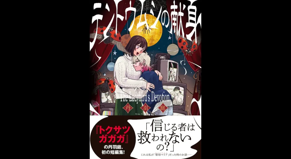 Niwa Niwa's "Ladybug's Devotion" - First Short Story Collection