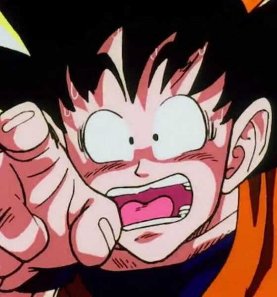 Dragon Ball’s artist reveals what his favorite and sure character is not imagining who he is