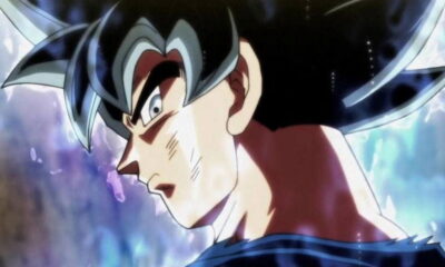 One of Dragon Ball Super’s most anticipated fighting has been animated by fans and looks spectacular